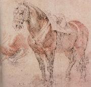 Peter Paul Rubens Horse France oil painting artist